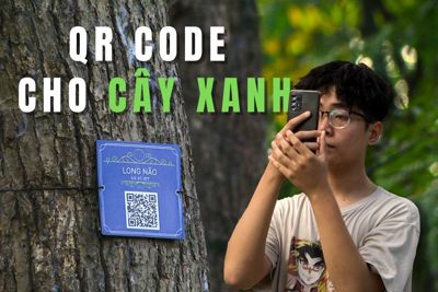 Gắn mã QR code để quản lý cây xanh