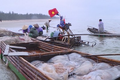 Hà Tĩnh: Nguy cơ bị sóng đánh chìm khi đánh bắt thủy sản mùa biển động