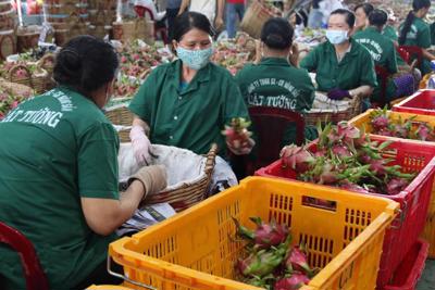 Xúc tiến thương mại, cú hích đưa hàng Việt thâm nhập thị trường Trung Quốc