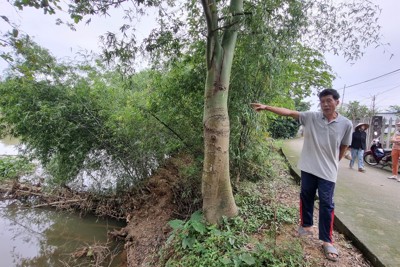 Quảng Ngãi: Nguy cơ sạt lở "nuốt" đất sản xuất, đe dọa đường dân sinh