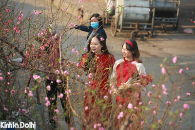 Hà Nội: Thiếu nữ mặc áo dài khoe sắc bên hoa đào nở sớm