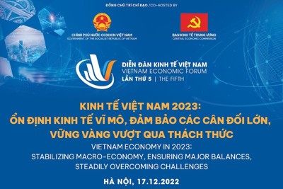 Diễn đàn Kinh tế Việt Nam: Nhận diện thách thức, tìm kịch bản tăng trưởng 