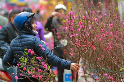 Hà Nội tổ chức 91 chợ hoa xuân trong Tết Nguyên đán Quý Mão