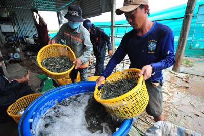 Chuyển đổi số yêu cầu "cấp thiết" đối với nông nghiệp Đồng Bằng Sông Cửu Long