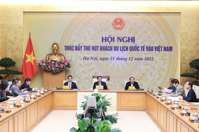 Tại sao Việt Nam lại "đi trước, về sau" trong phục hồi du lịch quốc tế?