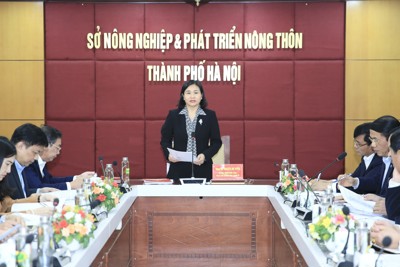 Phó Bí thư Thường trực Thành ủy Hà Nội chỉ đạo kiểm điểm tại Sở NN&PTNT