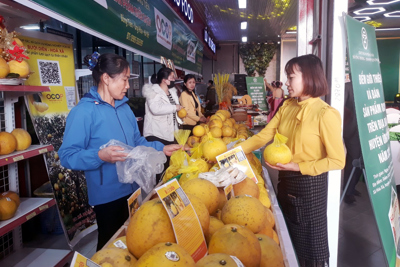 Hà Nội mở điểm giới thiệu và bán sản phẩm OCOP tại huyện Ứng Hòa 