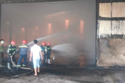 Bình Phước: Cháy xưởng sản xuất viên nén rộng 3.000m2, gây thiệt hại lớn