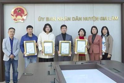 7 vùng sản xuất của huyện Gia Lâm được cấp chứng nhận VietGAP