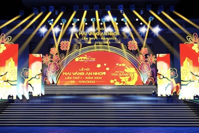 Bình Định: Tổ chức “Lễ hội Mai vàng An Nhơn lần thứ I - Năm 2023”