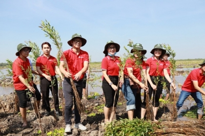 SeABank trao tặng 28.000 cây tràm cừ cho Khu Bảo tồn Đất ngập nước Láng Sen