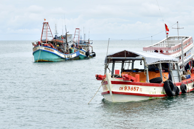 Chủ tịch UBND tỉnh Cà Mau chỉ đạo nóng về quản lý IUU