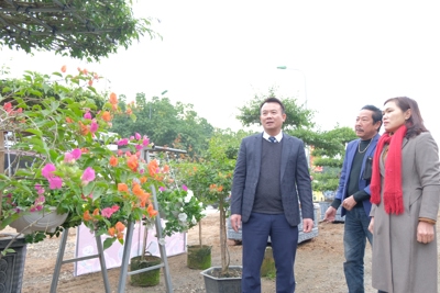 Hà Nội: Khai mạc hội chợ hoa Xuân huyện Phúc Thọ năm 2023