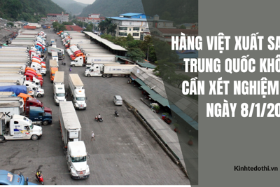 Podcast ngày 30/12: Hàng Việt xuất sang Trung Quốc không cần xét nghiệm