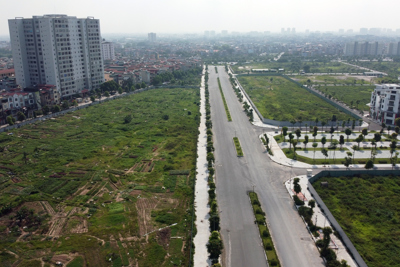 Điều chỉnh giảm mật độ xây dựng tại ô đất thuộc quận Long Biên