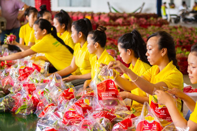 Việt Nam sẵn sàng phương án thông quan hàng hóa khi Trung Quốc mở cửa