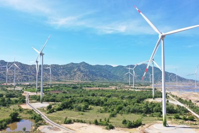 Phát triển năng lượng tái tạo tại Việt Nam trong giai đoạn mới