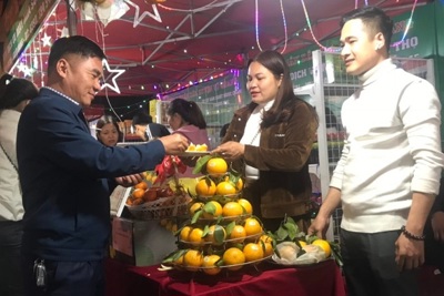 Hà Tĩnh: Khai mạc Lễ hội cam và các sản phẩm nông nghiệp lần thứ 5