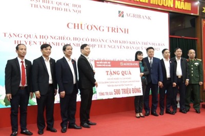 Đoàn đại biểu Quốc hội tặng quà hộ nghèo, gia đình chính sách huyện Thanh Oai