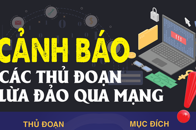 Các thủ đoạn lừa đảo qua mạng ngày càng tinh vi