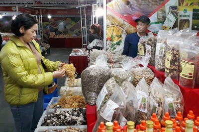 Khai mạc Hội chợ nông sản thực phẩm Tết Quý Mão 2023