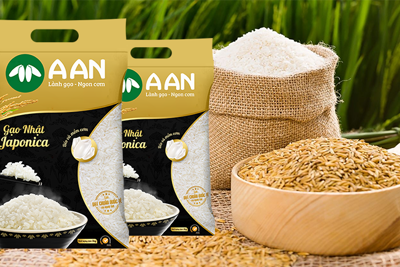 Tân Long Group đưa gạo Việt chinh phục thế giới