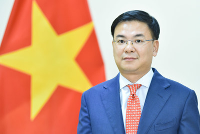 Phát huy nguồn lực cộng đồng người Việt ở nước ngoài trong tình hình mới