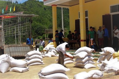 Xuất cấp 243,15 tấn gạo cho 2 tỉnh Bắc Kạn, Kon Tum dịp Tết