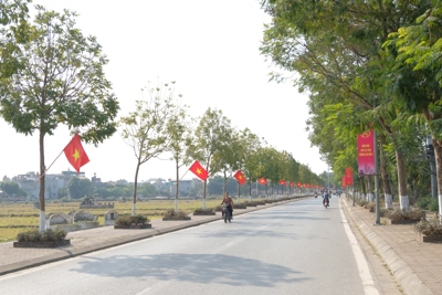Xây dựng nông thôn mới nâng cao: Hà Nội giữ vững vị thế lá cờ đầu