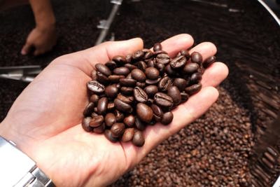 Giá cà phê hôm nay 19/1: Đồng loạt tăng, trong nước cán mốc 41.000 đồng/kg