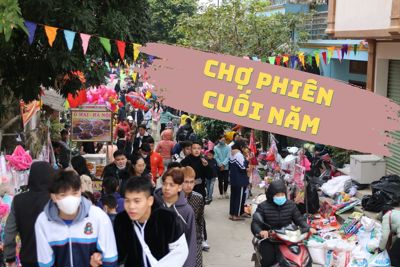 Nhộn nhịp phiên chợ quê cuối năm ở ngoại thành Hà Nội