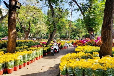 TP Hồ Chí Minh: Chợ hoa tràn ngập sắc màu nhưng vắng khách mua