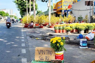 TP Hồ Chí Minh: Chợ hoa 30 Tết, tiểu thương giảm giá, xả hàng vớt vốn