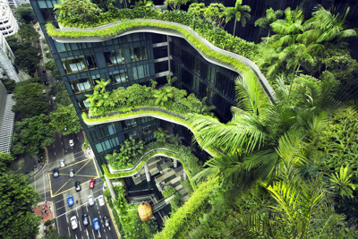 Singapore - Hình mẫu phát triển đô thị xanh và bền vững