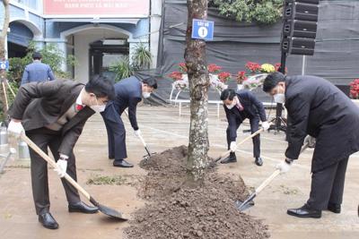 Quận Thanh Xuân: Tuyên truyền về lợi ích của việc trồng cây xanh