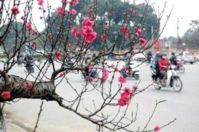 Dự báo thời tiết ngày 27/1/2023: Hà Nội mưa rải rác ngày mùng 6 Tết