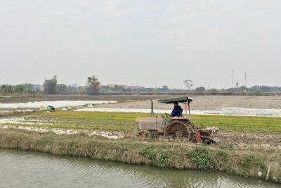 Hà Nội: Khẩn trương lấy nước gieo cấy lúa Xuân 2023 cho hơn 30.000ha