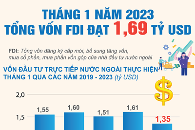 Tổng vốn FDI đăng ký vào Việt Nam đạt 1,69 tỷ USD