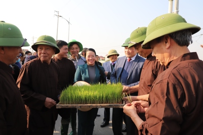 Huyện Thường Tín tổ chức lễ xuống đồng cấy lúa Xuân 2023