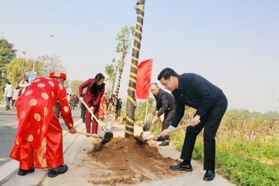 Huyện Gia Lâm phấn đấu trồng vượt chỉ tiêu 6.130 cây xanh