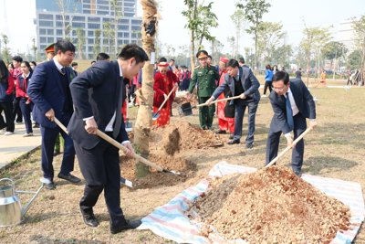 Khuyến khích cách làm sáng tạo trong thực hiện trồng cây tại quận Nam Từ Liêm