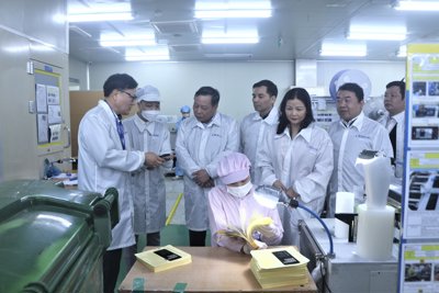 Lãnh đạo TP Hà Nội thăm, động viên sản xuất tại huyện Mê Linh, Đông Anh