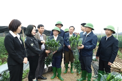 Huyện Mê Linh: Động viên bà con ra quân sản xuất đầu Xuân 2023