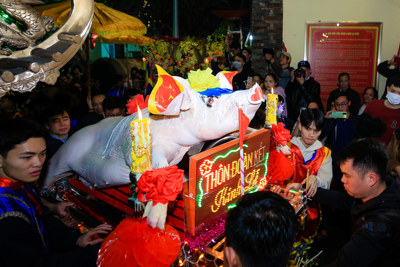 Hàng nghìn người dân tại La Phù chen chân tham gia lễ hội rước "ông lợn"