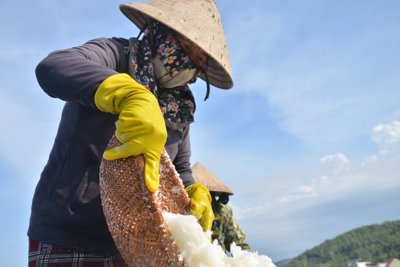 Hiếm thấy: Diêm dân Sa Huỳnh không còn muối để bán