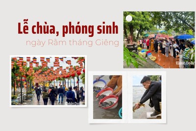 Podcast ngày 5/2: Người dân đi lễ chùa cầu an, phóng sinh ngày Rằm tháng Giêng