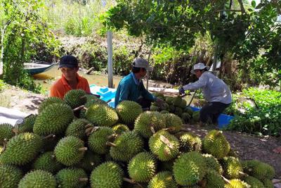 Lạc quan xuất khẩu nông sản đầu năm