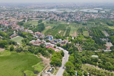 Hà Nội: Sắp đấu giá hàng chục lô đất ở Phúc Thọ, Quốc Oai 