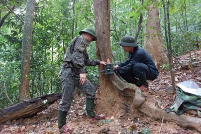 Hà Tĩnh: Lắp đặt 25 điểm bẫy ảnh giám sát đa dạng sinh học