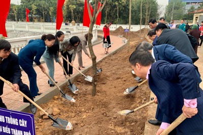 Nông dân Hà Nội phấn đấu trồng mới 15.000 cây xanh